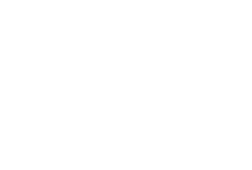 Vicam Logo